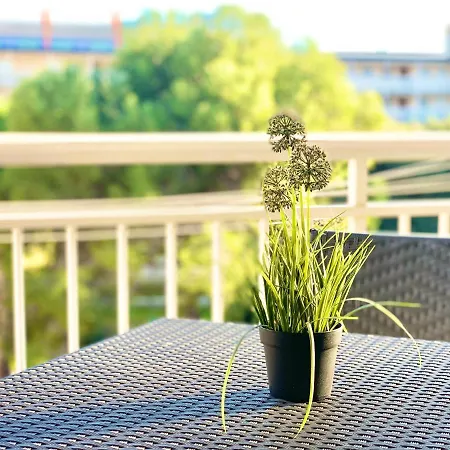 Zaragoza * サロウ